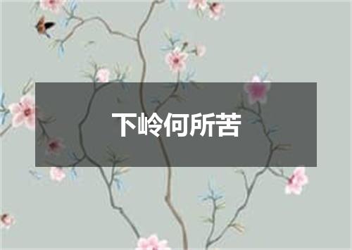 下岭何所苦