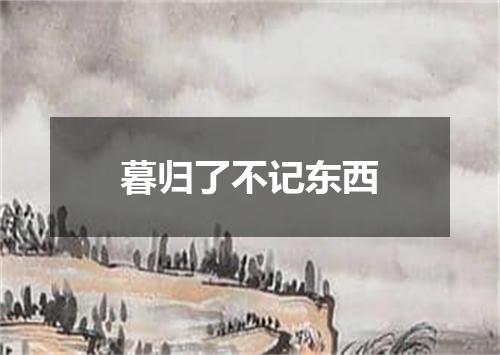 暮归了不记东西