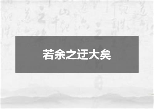 若余之迂大矣
