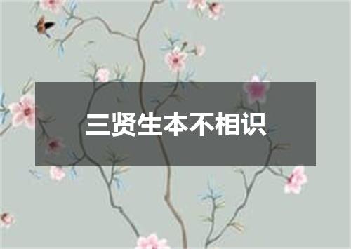 三贤生本不相识