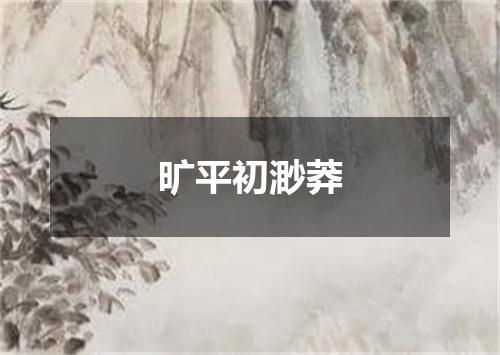 旷平初渺莽