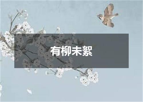 有柳未絮