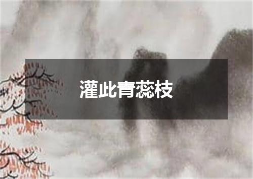灌此青蕊枝