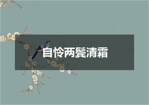 自怜两鬓清霜