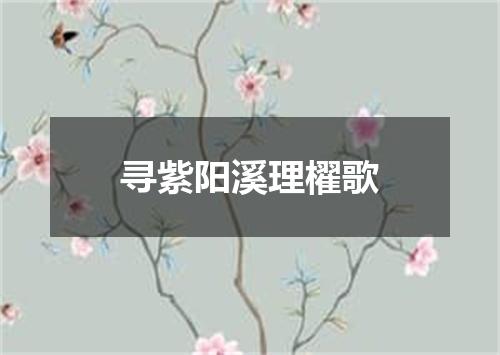 寻紫阳溪理櫂歌