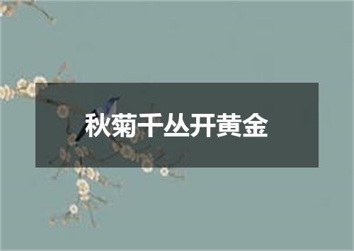 秋菊千丛开黄金