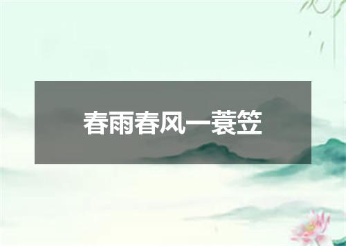 春雨春风一蓑笠