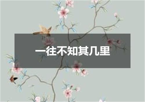 一往不知其几里