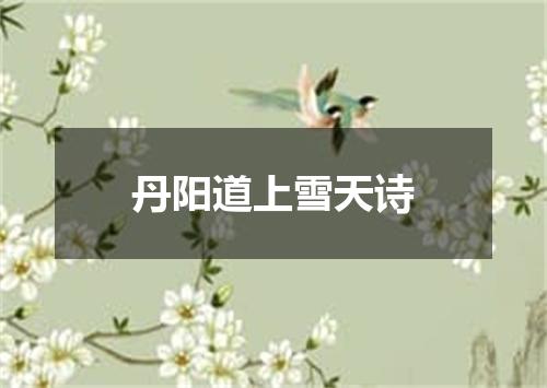 丹阳道上雪天诗