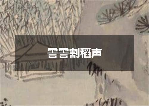 霅霅割稻声