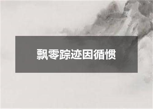 飘零踪迹因循惯