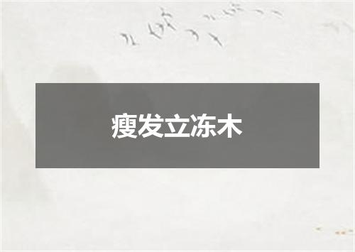 瘦发立冻木