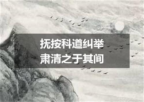 抚按科道纠举肃清之于其间