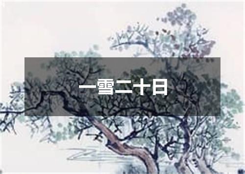 一雪二十日