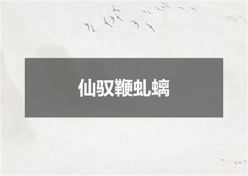 仙驭鞭虬螭