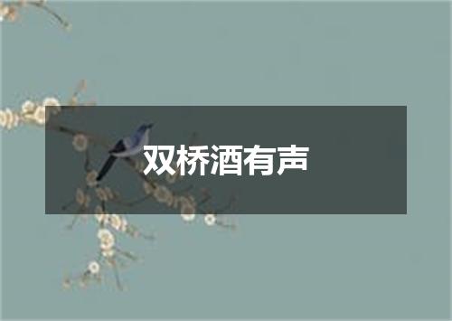 双桥酒有声
