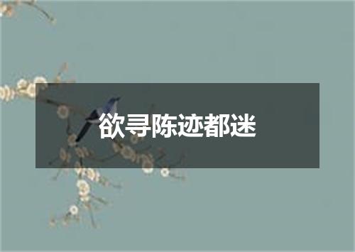 欲寻陈迹都迷