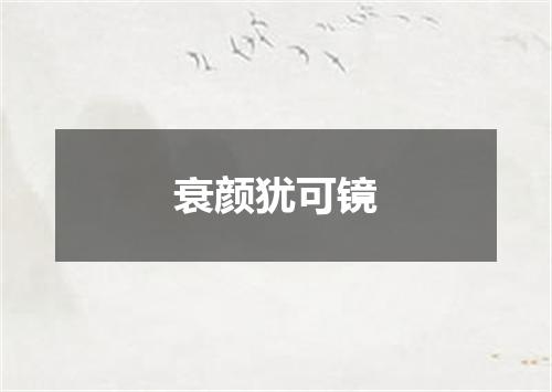 衰颜犹可镜