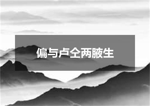 偏与卢仝两腋生