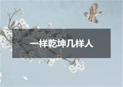 一样乾坤几样人