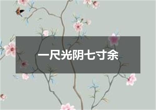 一尺光阴七寸余