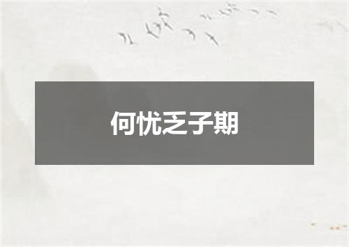 何忧乏子期