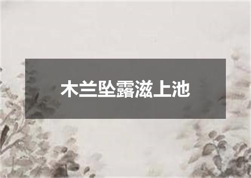 木兰坠露滋上池