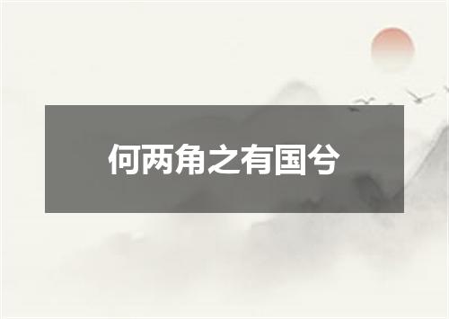 何两角之有国兮