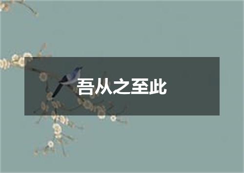吾从之至此