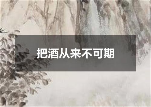 把酒从来不可期