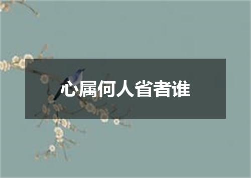 心属何人省者谁