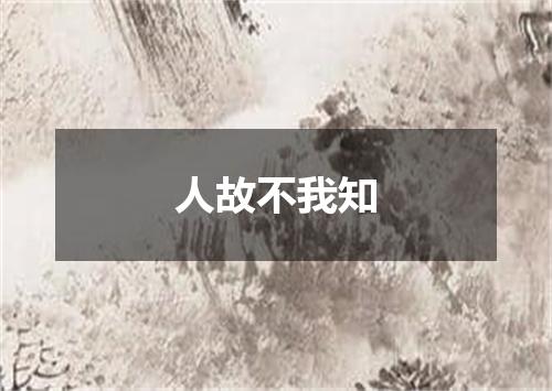 人故不我知
