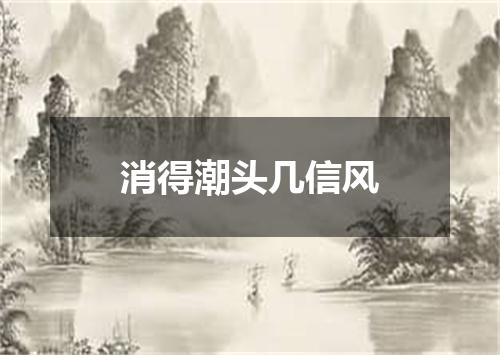 消得潮头几信风