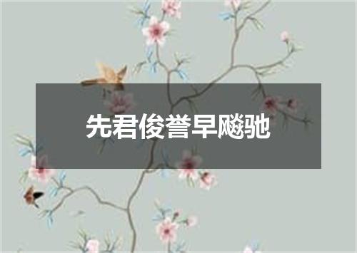 先君俊誉早飚驰