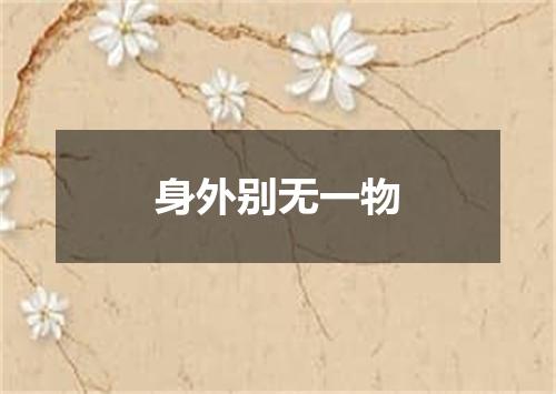 身外别无一物