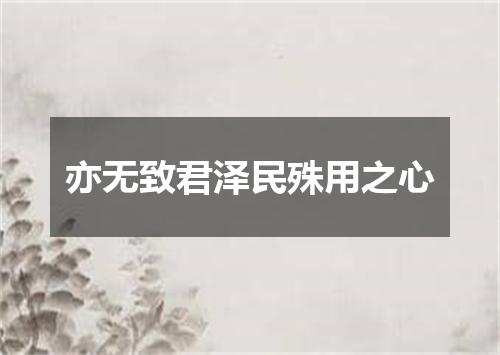 亦无致君泽民殊用之心