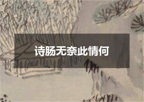 诗肠无奈此情何