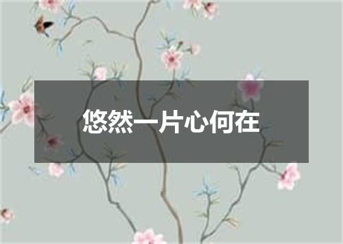 悠然一片心何在