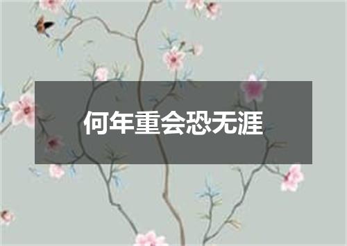 何年重会恐无涯