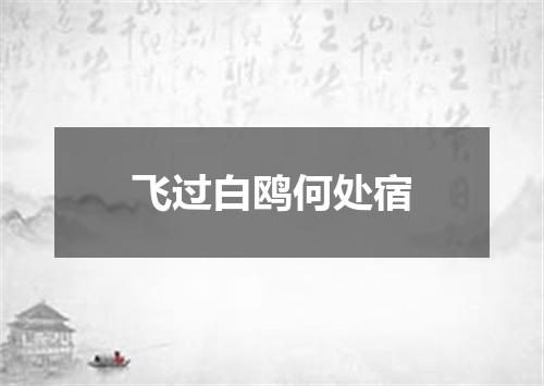 飞过白鸥何处宿