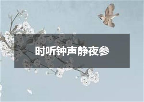 时听钟声静夜参