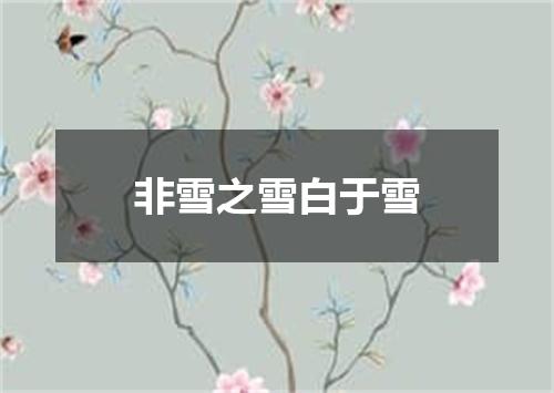 非雪之雪白于雪