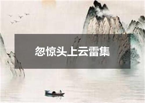 忽惊头上云雷集