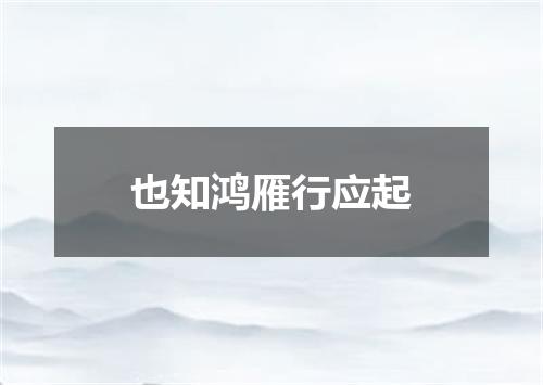 也知鸿雁行应起