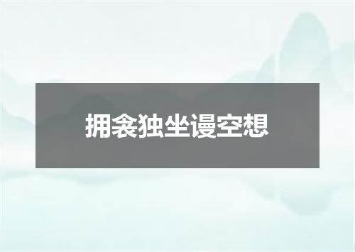 拥衾独坐谩空想