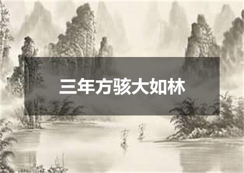 三年方骇大如林