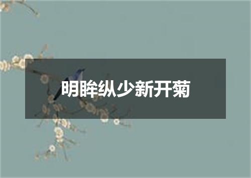 明眸纵少新开菊