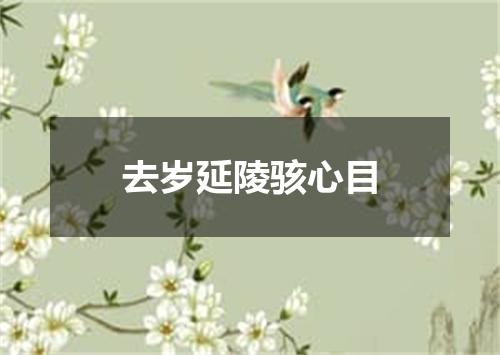 去岁延陵骇心目