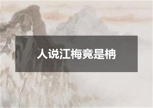 人说江梅竟是柟