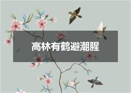 高林有鹤避潮腥